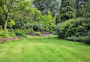 Optimiser l'expérience du jardin à Chalivoy-Milon
